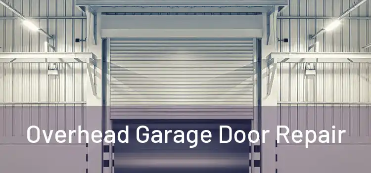  Overhead Garage Door Repair 